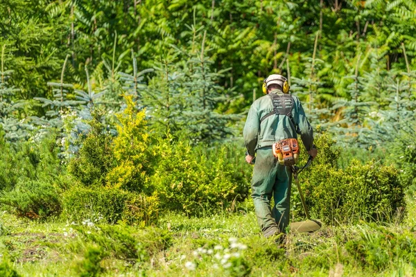 Hombre Trabajando Con Cortador Césped — Foto de Stock