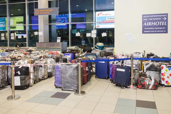 莫斯科 俄罗斯 2015年11月16日 在多莫杰多沃机场的许多游客的袋子在2015年11月16日在莫斯科 俄罗斯 在俄罗斯飞机坠毁和所有航班被取消后 行李从埃及撤离 仍然是游客运输 — 图库照片