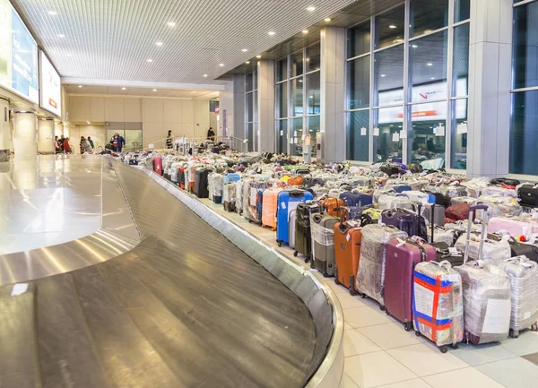 莫斯科 俄罗斯 2015年11月16日 在多莫杰多沃机场的许多游客的袋子在2015年11月16日在莫斯科 俄罗斯 在俄罗斯飞机坠毁和所有航班被取消后 行李从埃及撤离 仍然是游客运输 — 图库照片