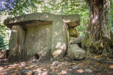 Rusya, Lagonaki ormandaki eski portal dolmen