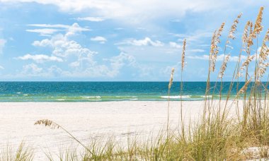 Florida 'da kumulları ve mavi gökyüzü olan güneşli St. Pete plajı.