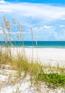 Florida 'da kumulları ve mavi gökyüzü olan güneşli St. Pete plajı.