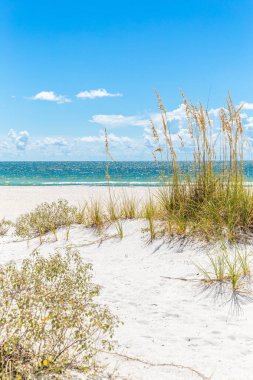 Florida 'da kumulları ve mavi gökyüzü olan güneşli St. Pete plajı.