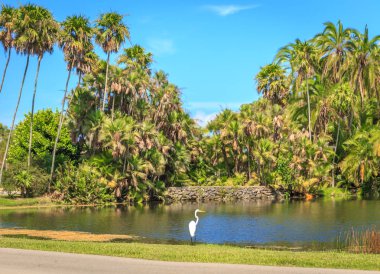 Güzel park yeşil çim ile