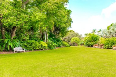 Fairchild tropikal Botanik Bahçesi, Miami, Fl, Usa