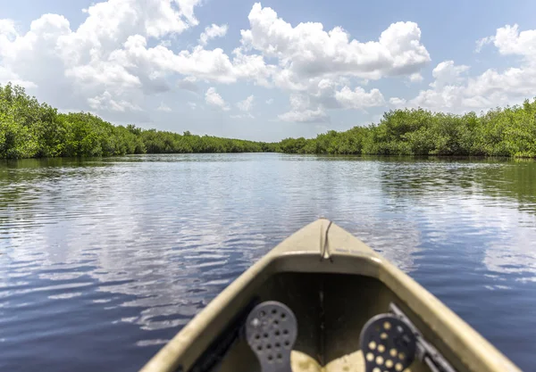 Kajakfahren Everglades Nationalpark Vereinigte Staaten — Stockfoto