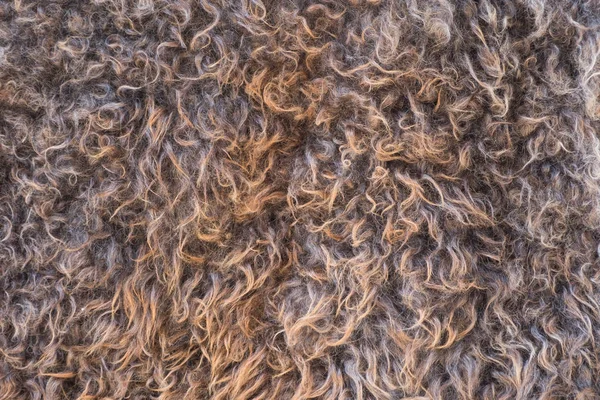 Doğal Koyun Yün Doku Closeup Arka Planı Için — Stok fotoğraf