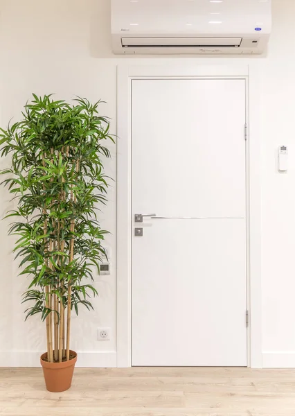 White door in modern home with green tree