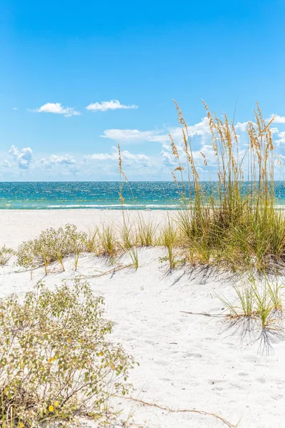 佛罗里达州阳光明媚的圣彼得海滩，沙滩沙丘和蓝天 — 图库照片