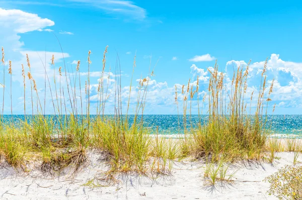 Soleada playa de St. Pete con dunas de arena y cielo azul en Florida —  Fotos de Stock