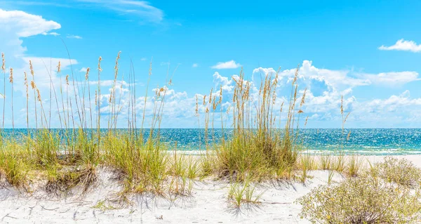 Солнечный пляж Сент-Пит с песчаными дюнами и голубым небом во Флориде — стоковое фото