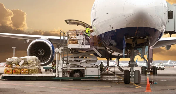 Carga de carga en el avión en el aeropuerto, vista a través de la ventana — Foto de Stock