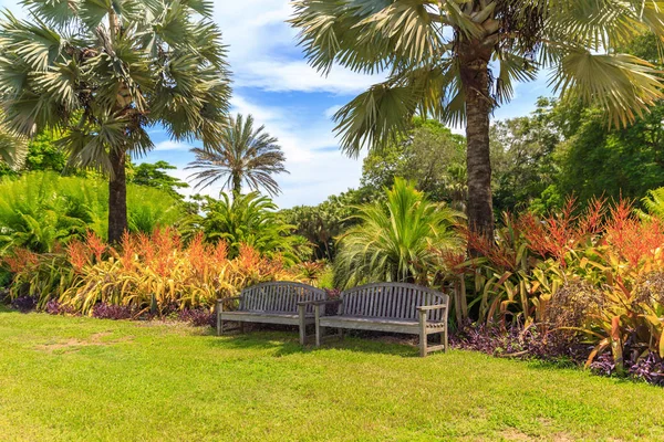 Beau Jardin Avec Belle Pelouse — Photo