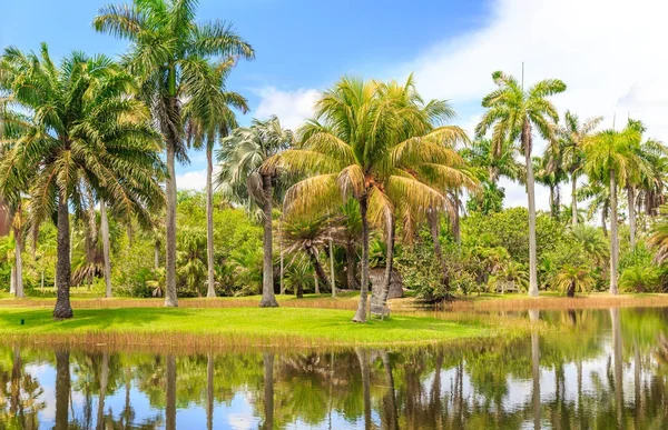 Fairchild tropical botanical garden, Miami, Fl, Stati Uniti d'America — Foto Stock