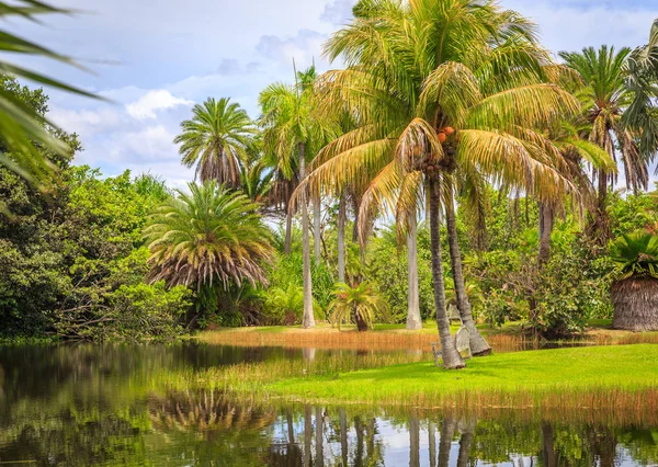 Fairchild tropical botanical garden, Miami, Fl, Stati Uniti d'America — Foto Stock