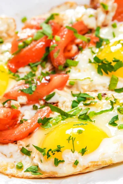 Jajka smażone z pomidorami i ziołami — Zdjęcie stockowe