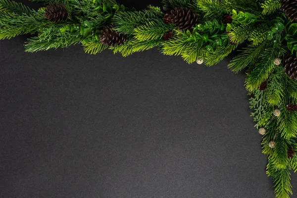 Christmas tree branches on the black background. flat lay, top view with copy space — Stock Photo, Image