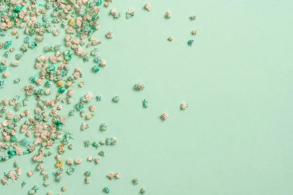 Decoración con flores de gypsophila con espacio de copia sobre fondo verde claro, disposición plana —  Fotos de Stock