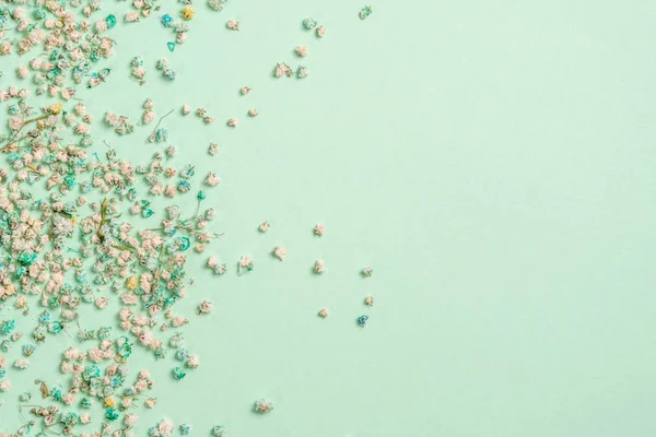 Decoración con flores de gypsophila con espacio de copia sobre fondo verde claro, disposición plana —  Fotos de Stock