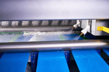 Automatic industrial line for washing and cleaning carpets