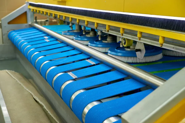 Automatic industrial line for washing and cleaning carpets