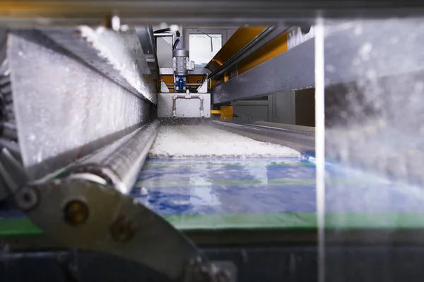 Automatic industrial line for washing and cleaning carpets