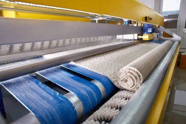 Automatic industrial line for washing and cleaning carpets