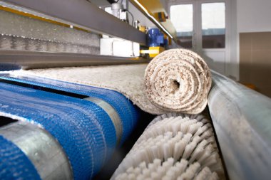 Automatic industrial line for washing and cleaning carpets