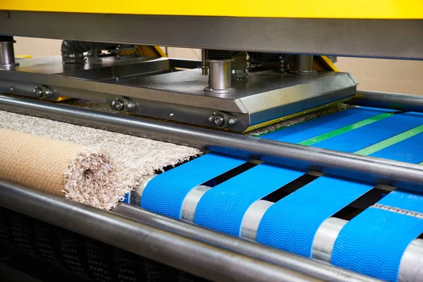 Automatic industrial line for washing and cleaning carpets — ストック写真