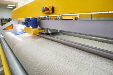 Automatic industrial line for washing and cleaning carpets