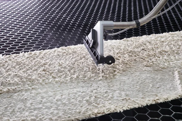 Limpeza química do tapete com método de extração profissional — Fotografia de Stock