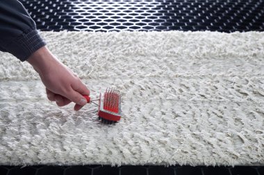 Cleaning wet carpet with metal brush in cleaning service