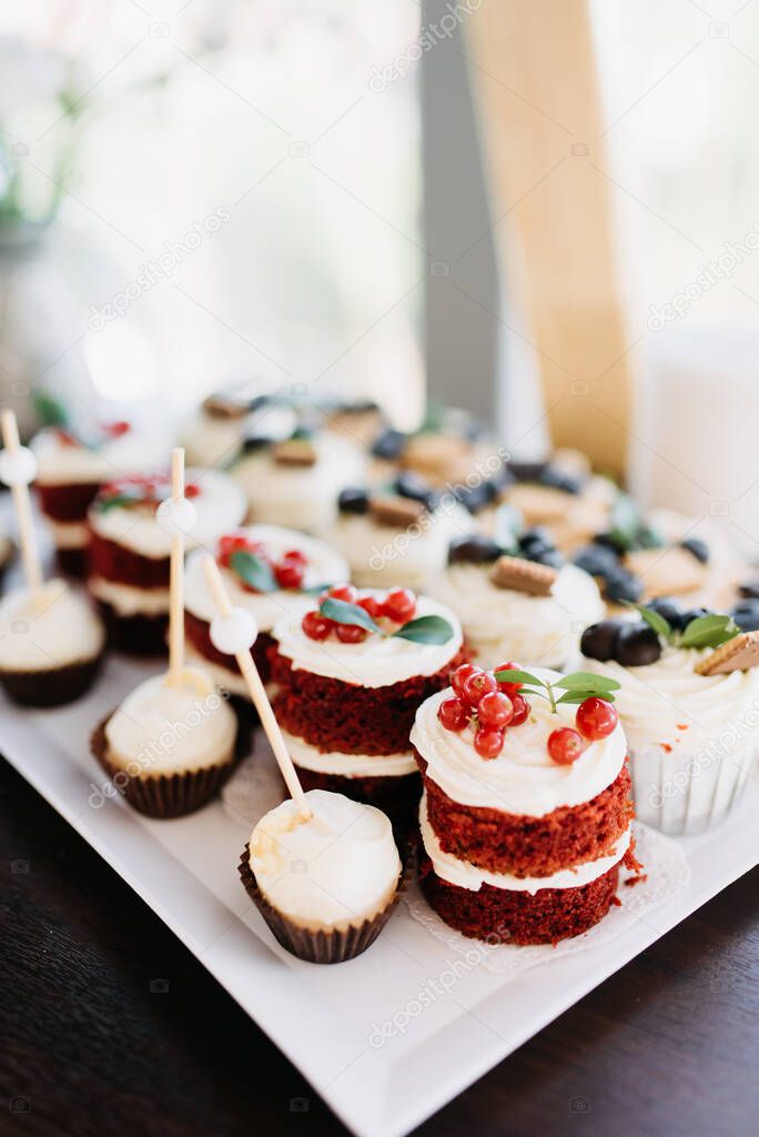 Group of many small tasty little sweet snacks, tiny cakes. Lots of mini sugary cupcakes