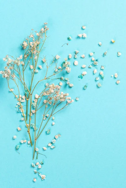 Spring Flowers Composition Gypsophila Flowers On Pastel Blue Background Flat Lay Top View Copy Space Bouquet Romantic Stock Photo