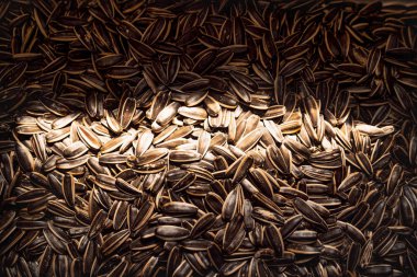 Ortasında güneş ışığı olan ayçekirdeği dokusu