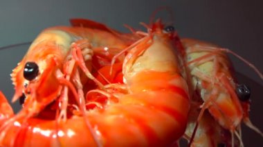 Kaynamış kırmızı karides yakın plan dönüyor.