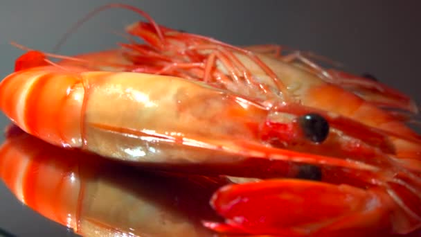 Boiled Red Shrimp Spinning Closeup — Stock Video