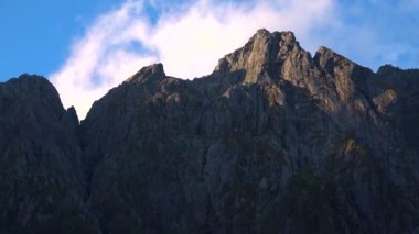 Dağlar ve kayalar Yeni Zelanda 'da yeşil ağaçlarla kaplı.