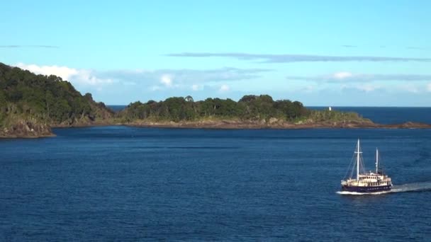 Żeglarstwo Jachtem Słońcu Widokiem Montażowym Nowej Zelandii Milford Sound — Wideo stockowe