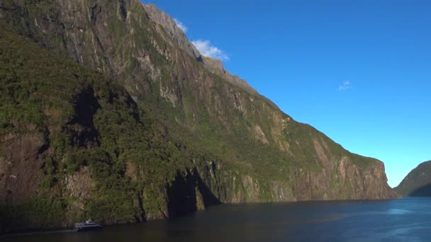 Mountains Rocks Sun Green Trees New Zealand Milford Sound — Stock Video