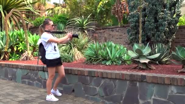 Uma Menina Caminha Jardim Botânico Sydney Com Uma Câmera — Vídeo de Stock