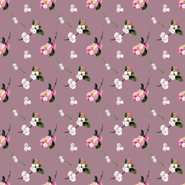 Kusursuz Noel desenli kış meyveleri suluboya çizimi