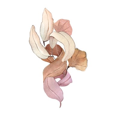 Suluboya resimli el çizimi orman çiçekleri kışın sonbahar tohumları kumaş, duvar kağıtları, çarşaf posterleri ve kartpostal dekoru.