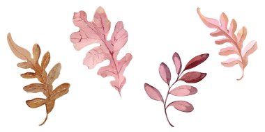 Suluboya resimli el çizimi orman çiçekleri kışın sonbahar tohumları kumaş, duvar kağıtları, çarşaf posterleri ve kartpostal dekoru.