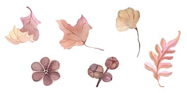 Suluboya resimli el çizimi orman çiçekleri kışın sonbahar tohumları kumaş, duvar kağıtları, çarşaf posterleri ve kartpostal dekoru.