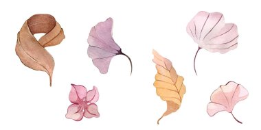 Suluboya resimli el çizimi orman çiçekleri kışın sonbahar tohumları kumaş, duvar kağıtları, çarşaf posterleri ve kartpostal dekoru.