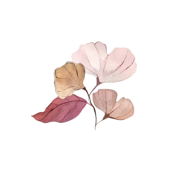 Акварель Иллюстрации Ручной Живописи Лесные Листья Цветы Семена Зимой Осенью — стоковое фото
