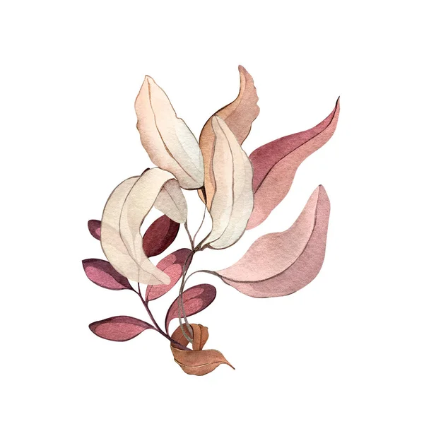 水彩イラスト手描きの森の葉の花の種子冬の秋包装生地壁紙テキスタイルベッドリネンポスター装飾ポストカード — ストック写真