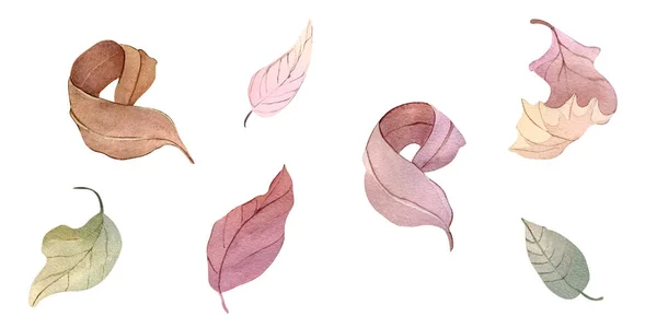 Watercolor Illustration Hand Painting Forest Leaves Flowers Seeds Winter Autumn — 스톡 사진