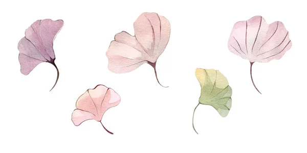 Ilustracja Akwarela Ręka Malarstwo Las Liście Kwiaty Nasiona Zima Jesień — Zdjęcie stockowe